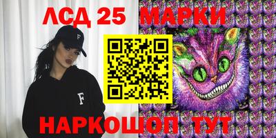 индика Кингисепп
