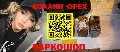 индика Кингисепп