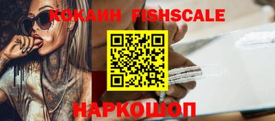 индика Кингисепп
