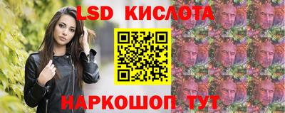 индика Кингисепп