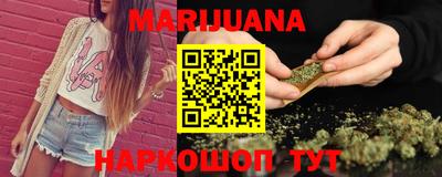 индика Кингисепп