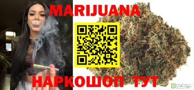 индика Кингисепп