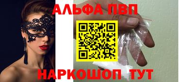 индика Кингисепп