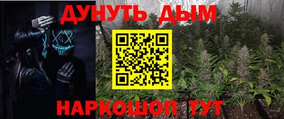 индика Кингисепп