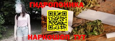 индика Кингисепп