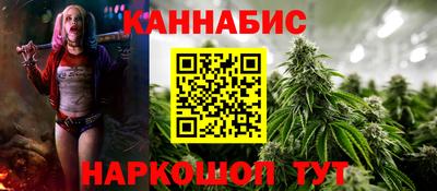 индика Кингисепп