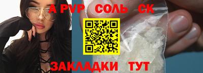 индика Кингисепп