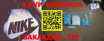 индика Кингисепп
