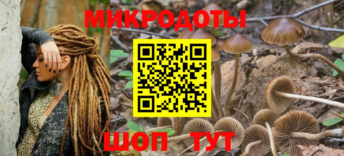 Комсомольск-на-Амуре  Галлюциногенные грибы Psilocybine cubensis  Вход с VPN  Псилоцибиновые грибы ЛСД 