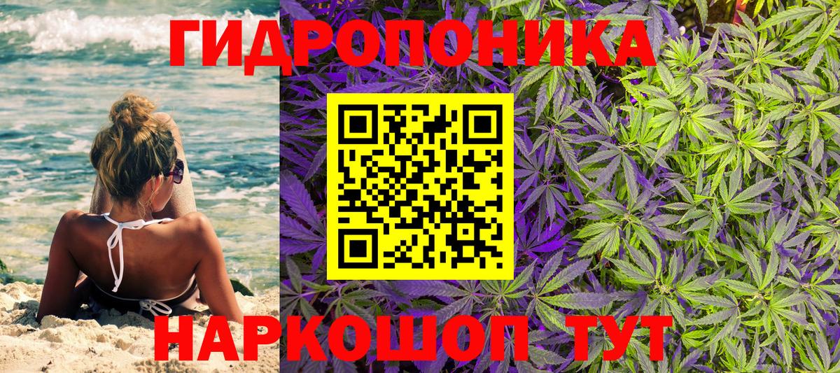 Конопля сатива Комсомольск-на-Амуре